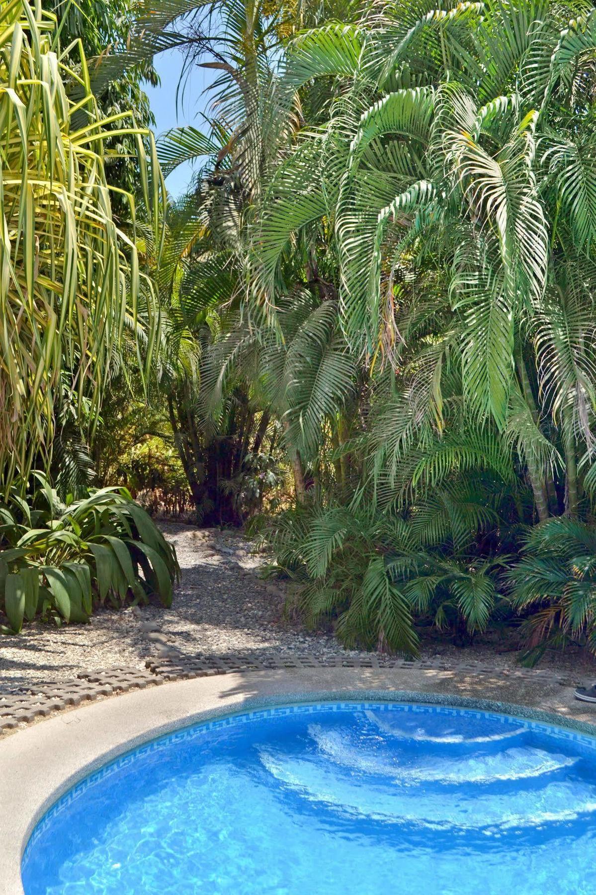 Blue Jay Lodge Paquera Exterior photo
